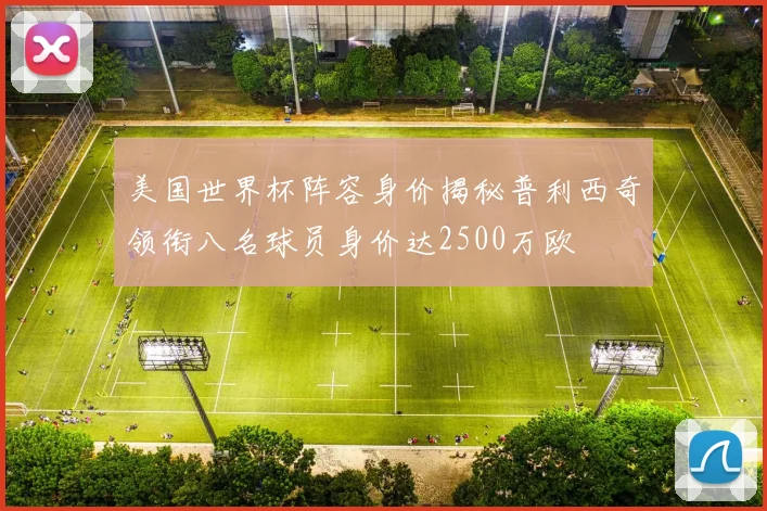 美国世界杯阵容身价揭秘普利西奇领衔八名球员身价达2500万欧